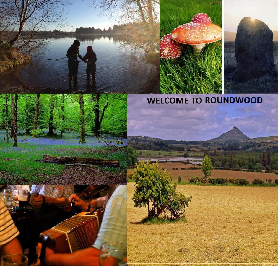 Glendalough Scenery Farmhouse Roundwood Dış mekan fotoğraf