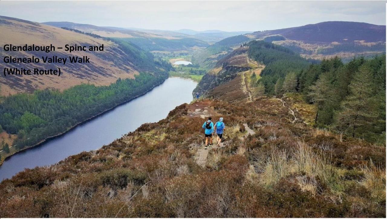 Glendalough Scenery Farmhouse Roundwood Dış mekan fotoğraf